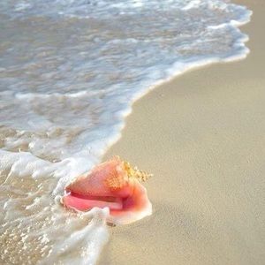 Meet your Posher, Kathy c.